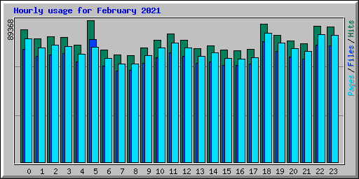 Hourly usage for February 2021